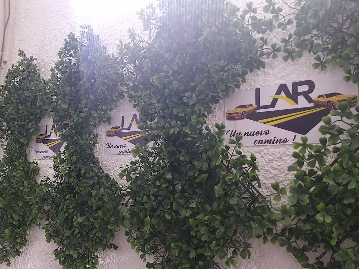 Organización Jurídica LAR — foto 4