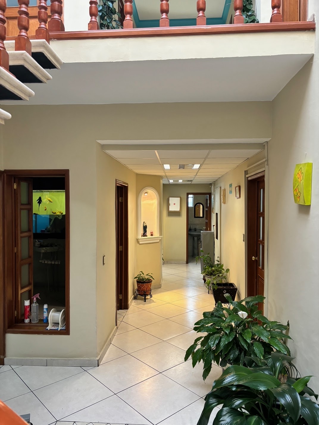 Núcleo odontológico escobar — foto 3
