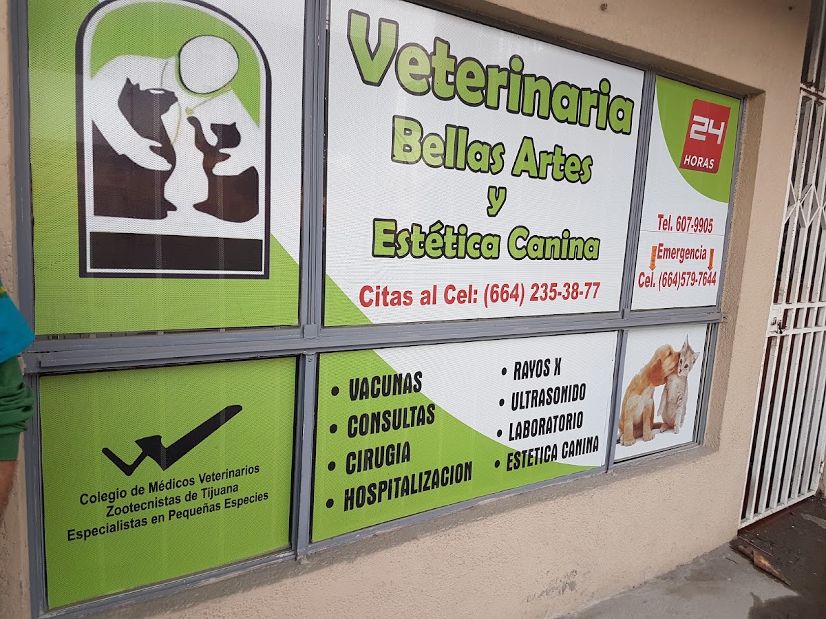 Veterinaria Bellas Artes