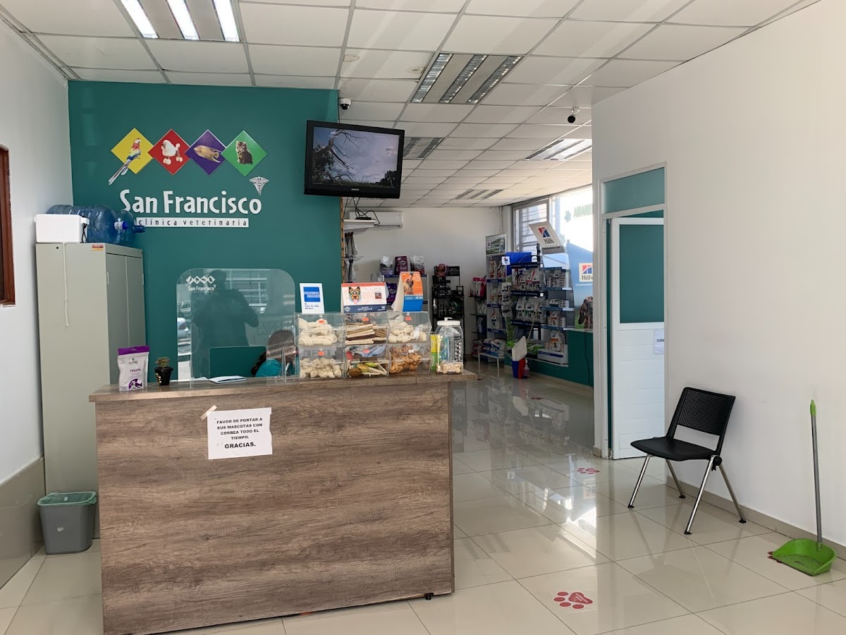 Hospital Veterinario Guadalajara — foto 4