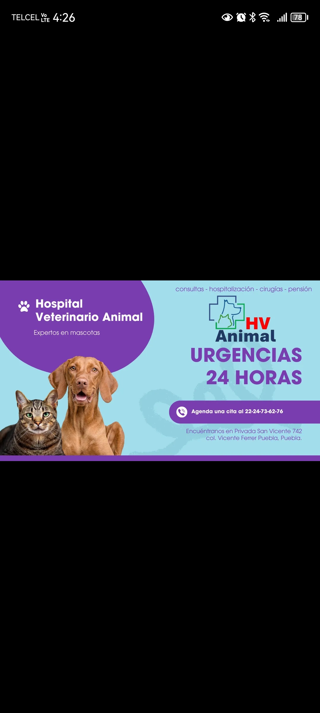 HV ANIMAL, Otras zonas