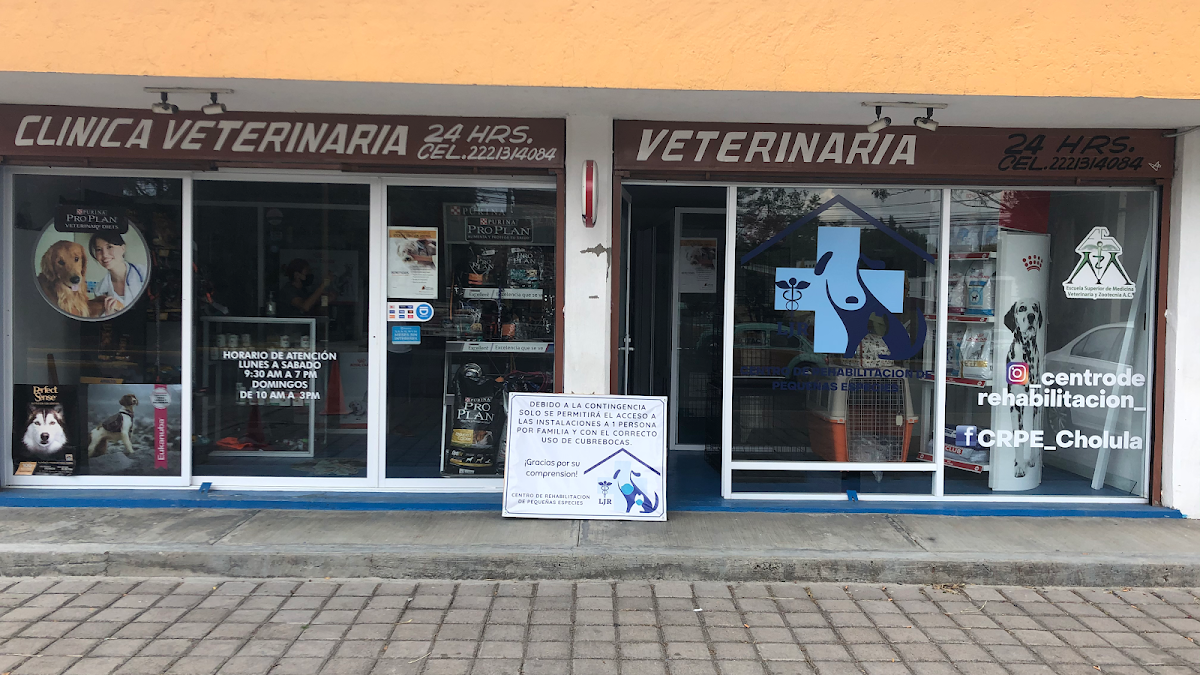 Centro de Rehabilitación de Pequeñas Especies — foto 2