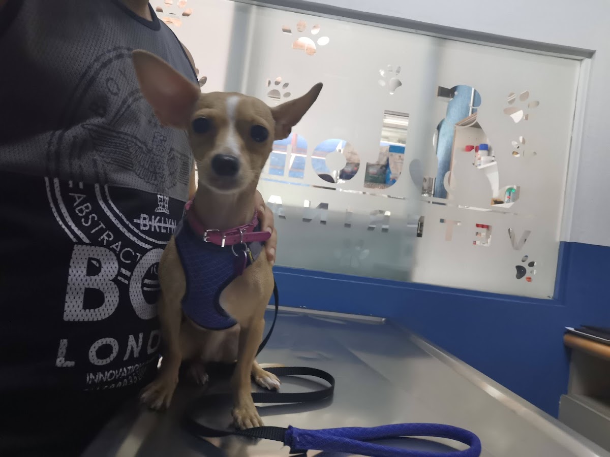 Lomas Veterinaria — foto 3