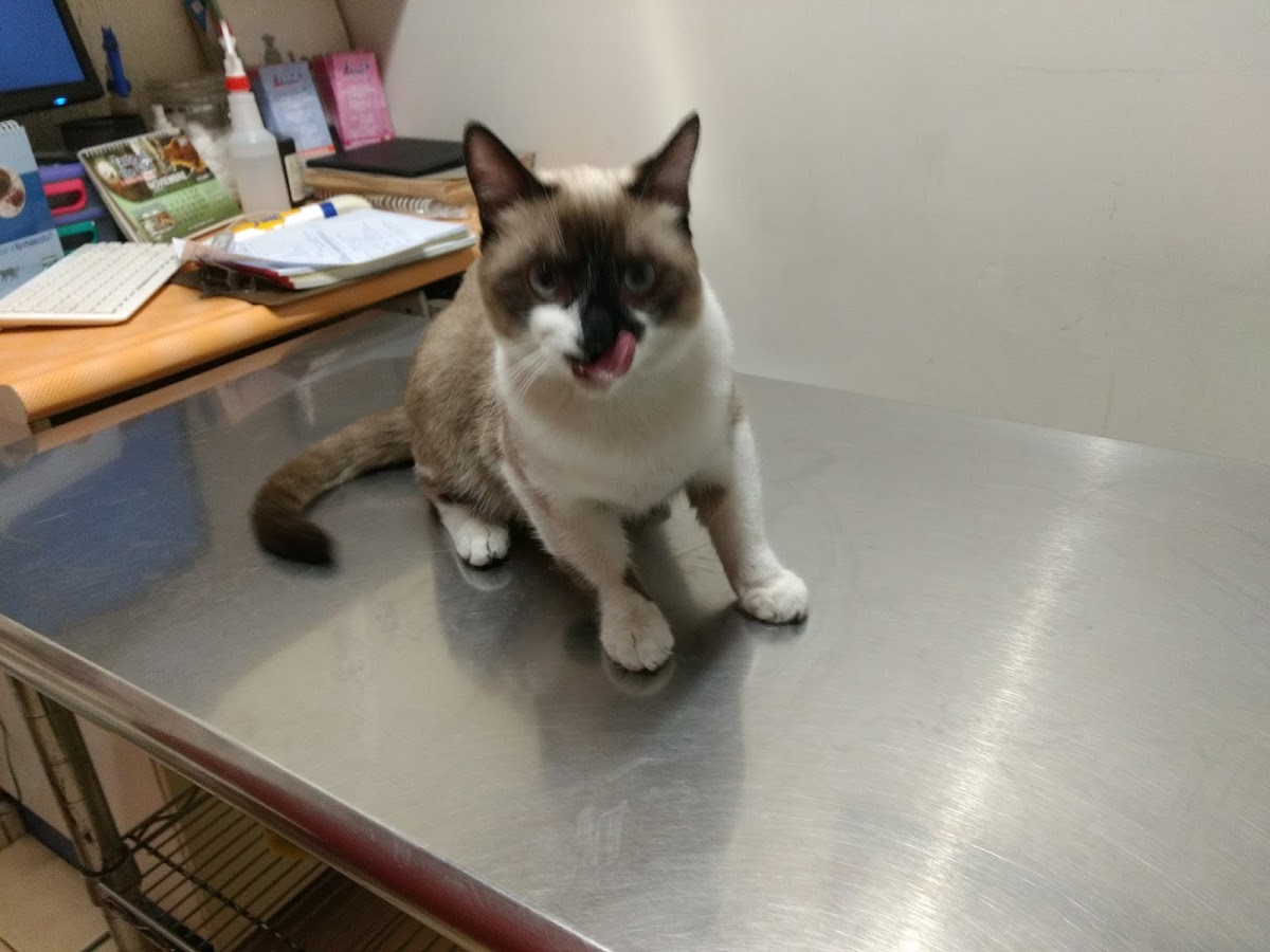 Lomas Veterinaria — foto 4