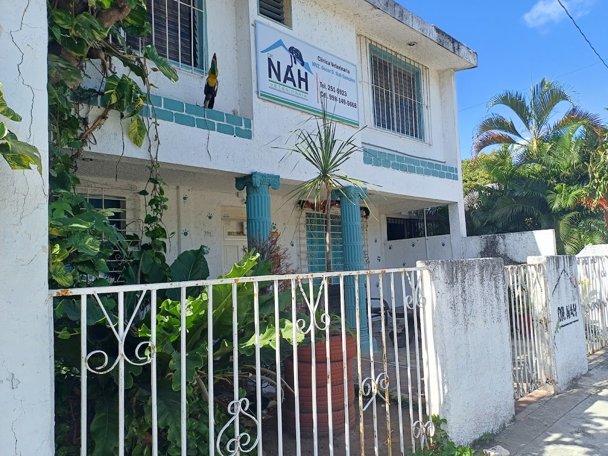 Servicios Médicos Veterinarios DR. Nah — foto 3