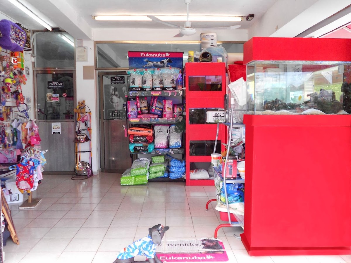 Centro Animal Cancun — foto 2
