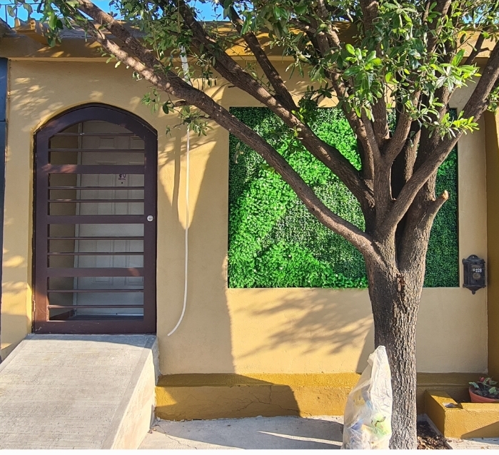 España Dental — foto 2