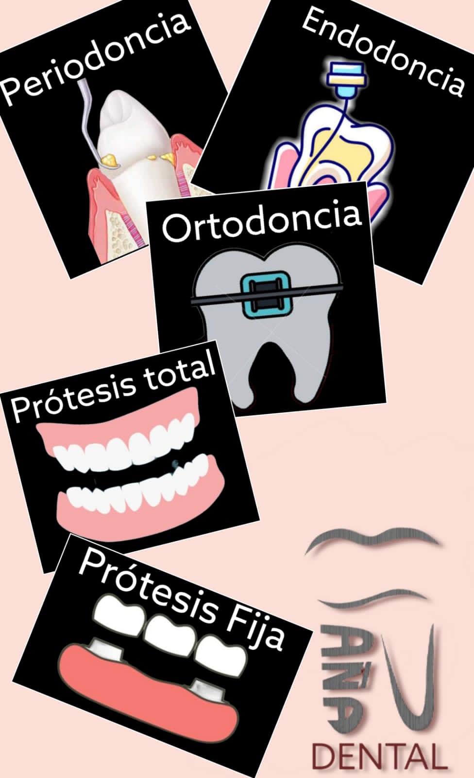 España Dental — foto 3