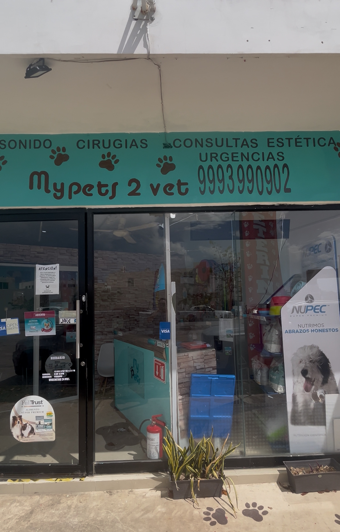 Pets Expert — foto 4