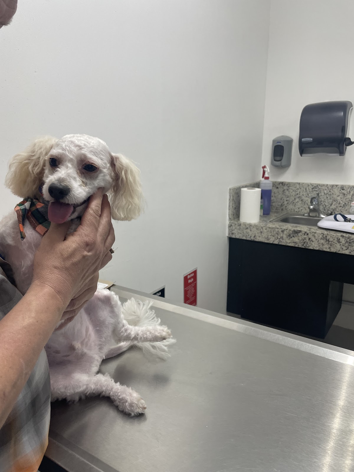 Villarreal Garza Hospital Veterinario
