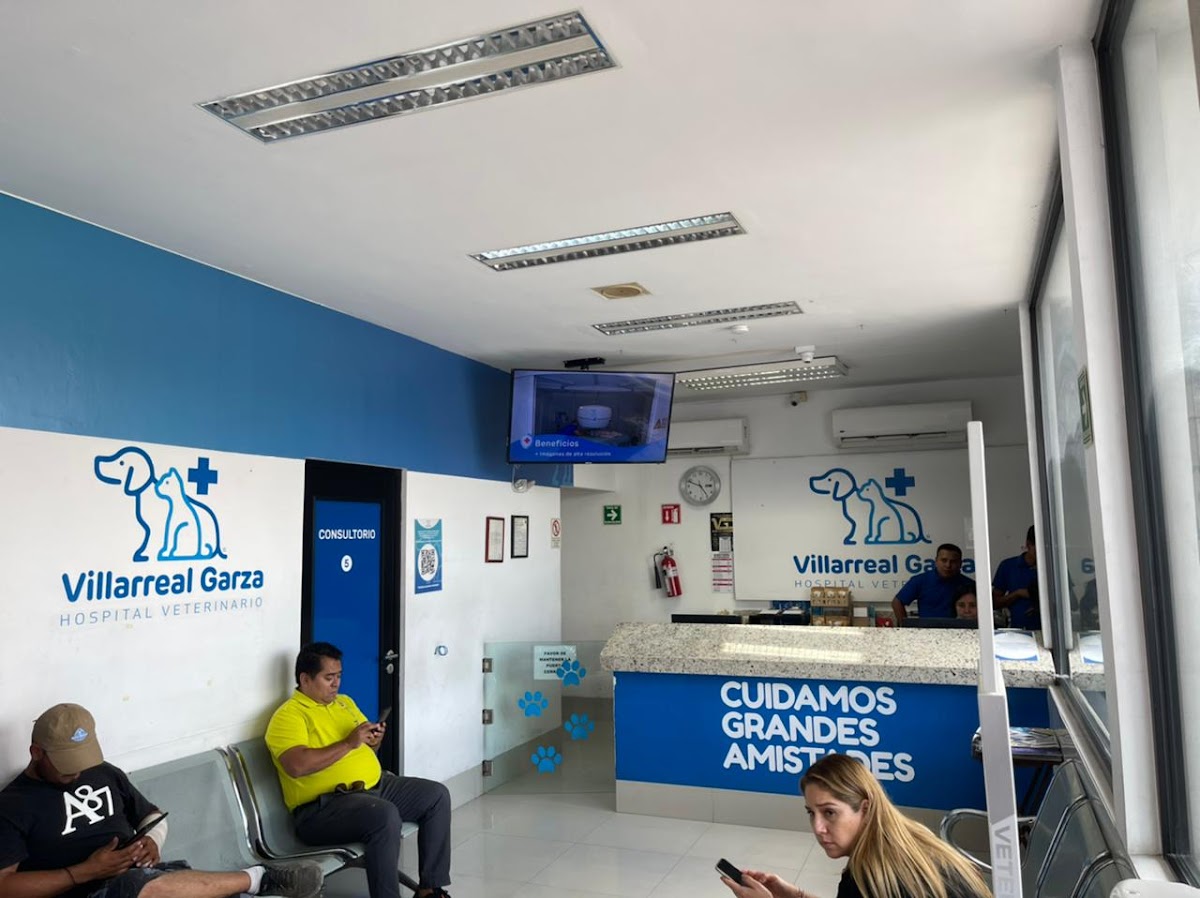 Villarreal Garza Hospital Veterinario — foto 2