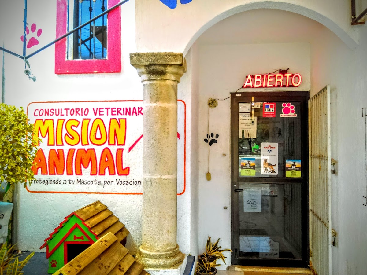 MISIÓN ANIMAL — foto 4