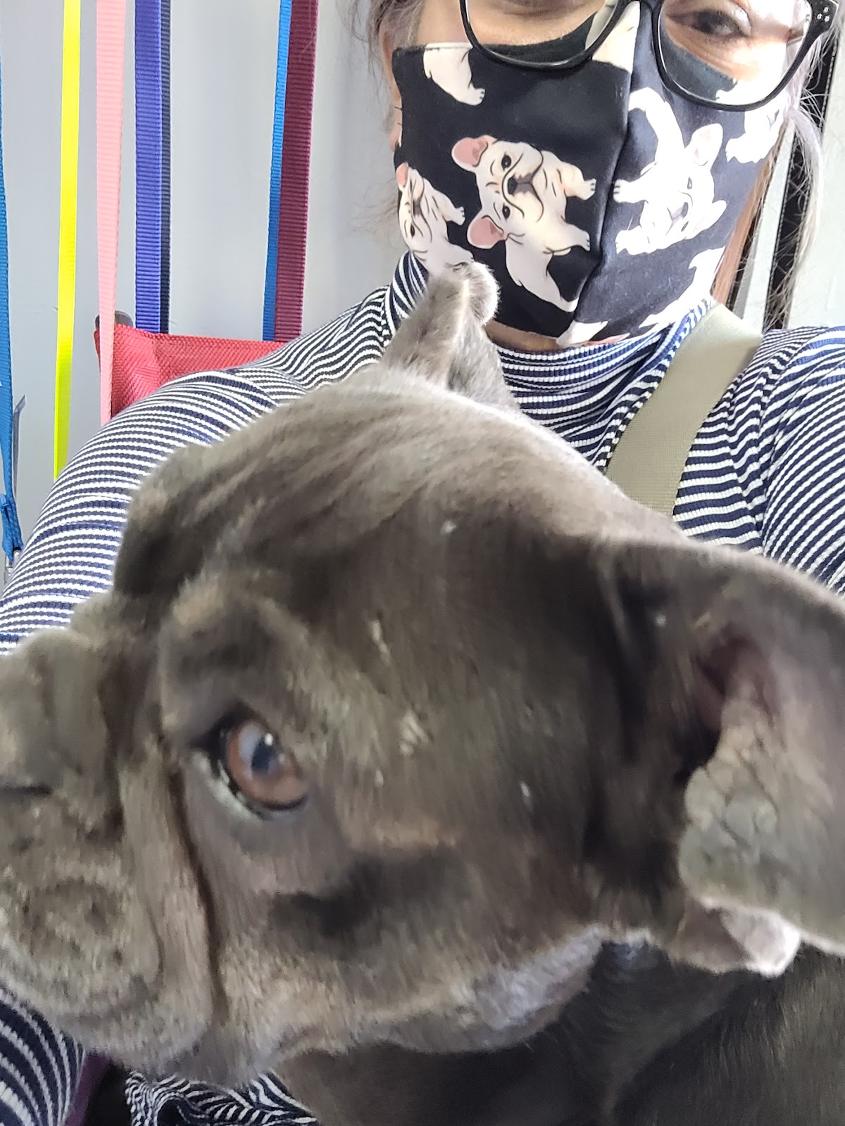 Veterinaria Gutiérrez — foto 2