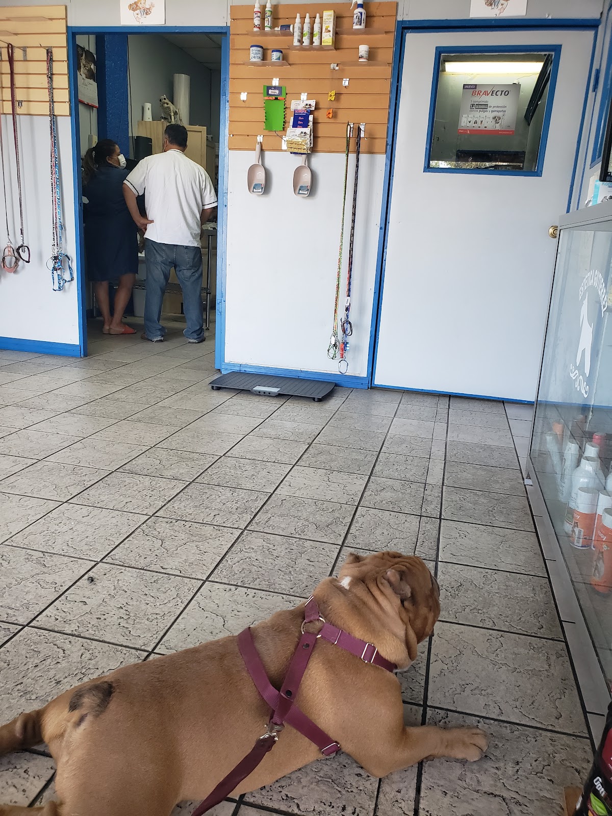 Veterinaria Gutiérrez — foto 3