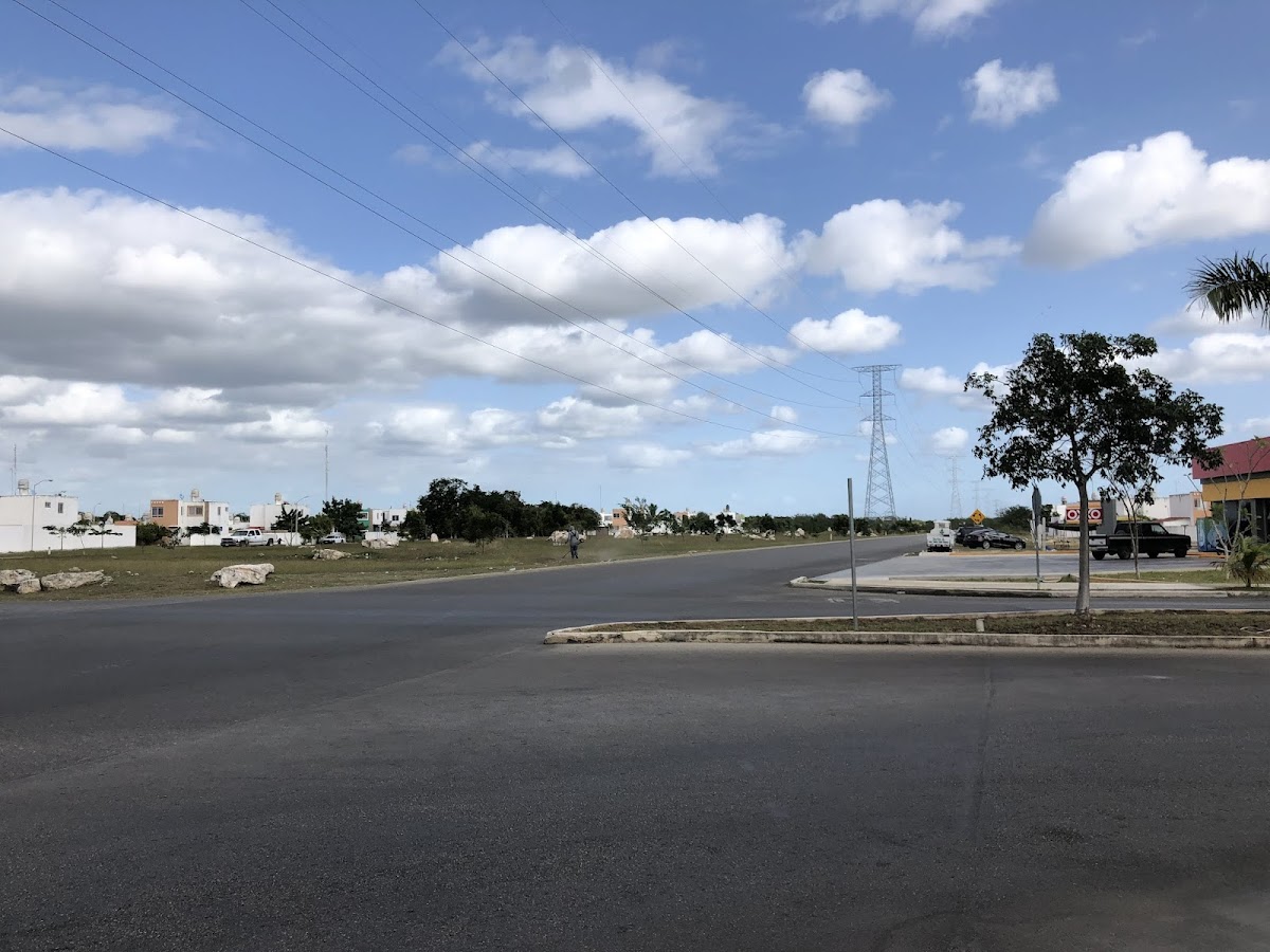 BUENVI — foto 4