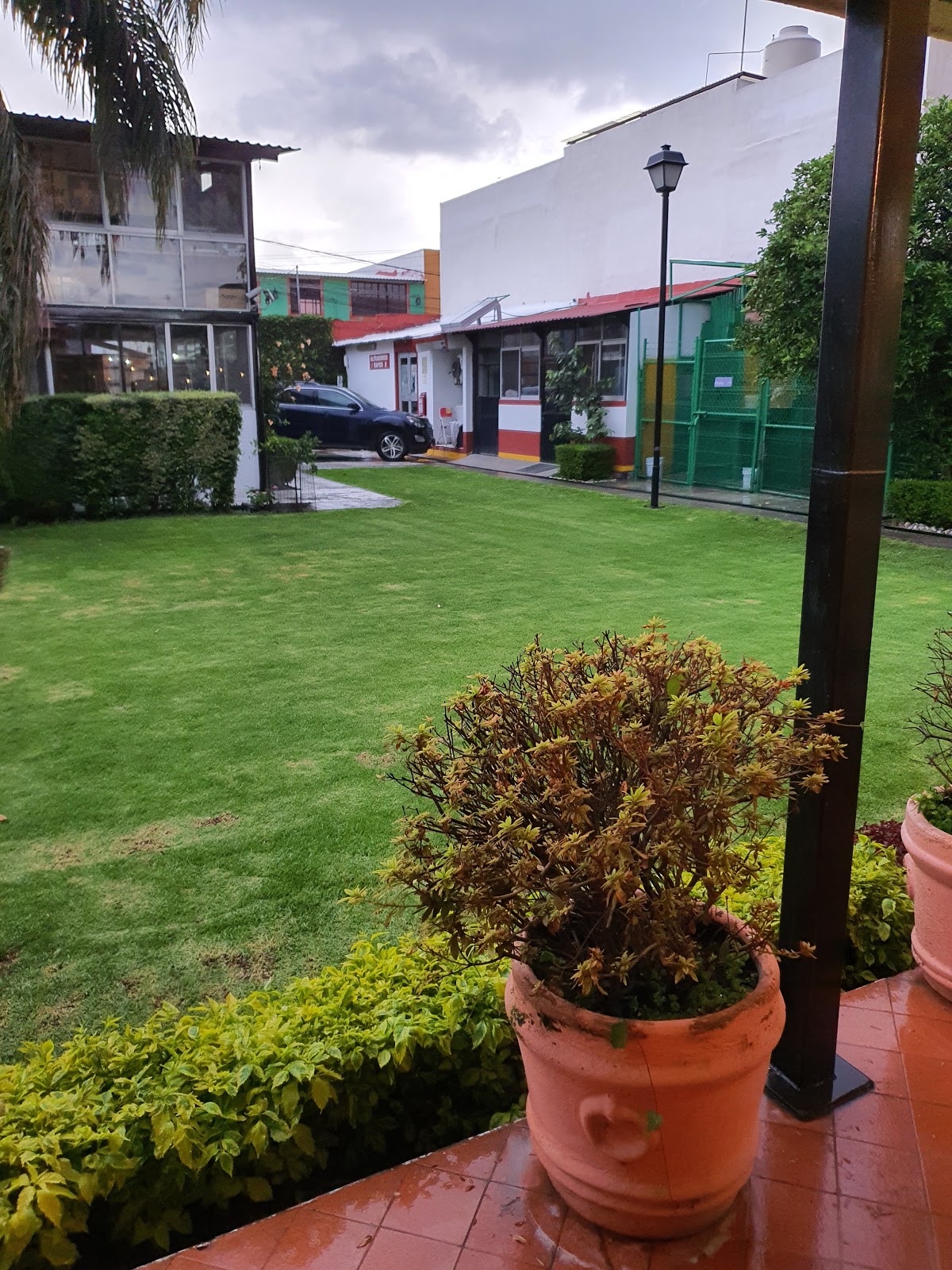 Hospital Veterinario de Cholula