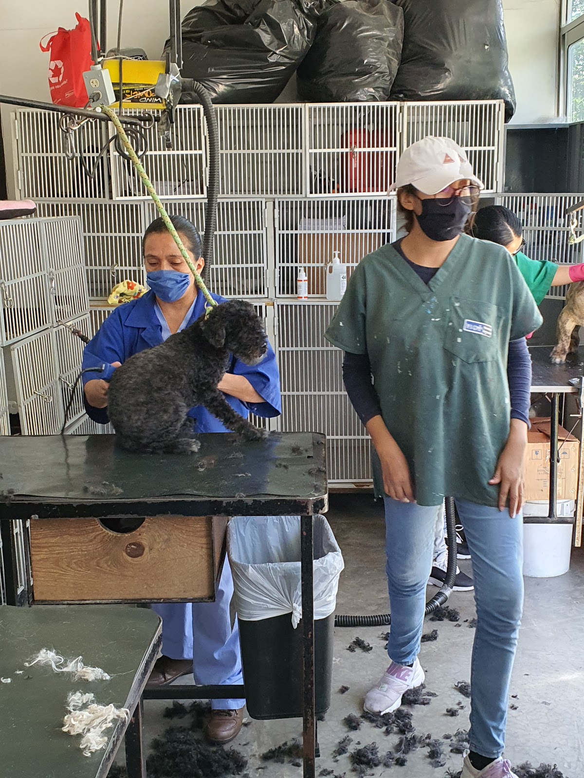 Hospital Veterinario de Cholula — foto 3