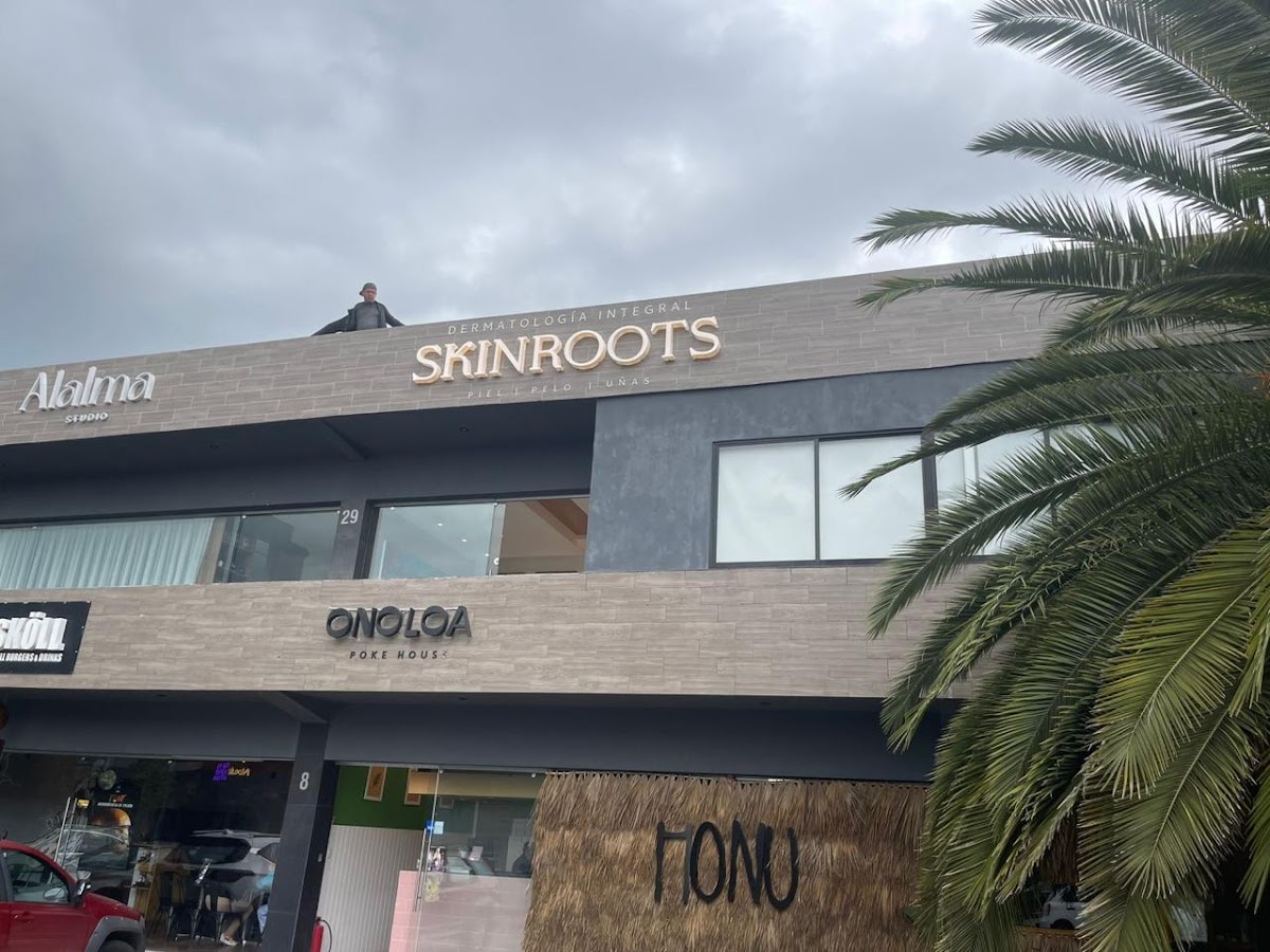 Skinroots — foto 4