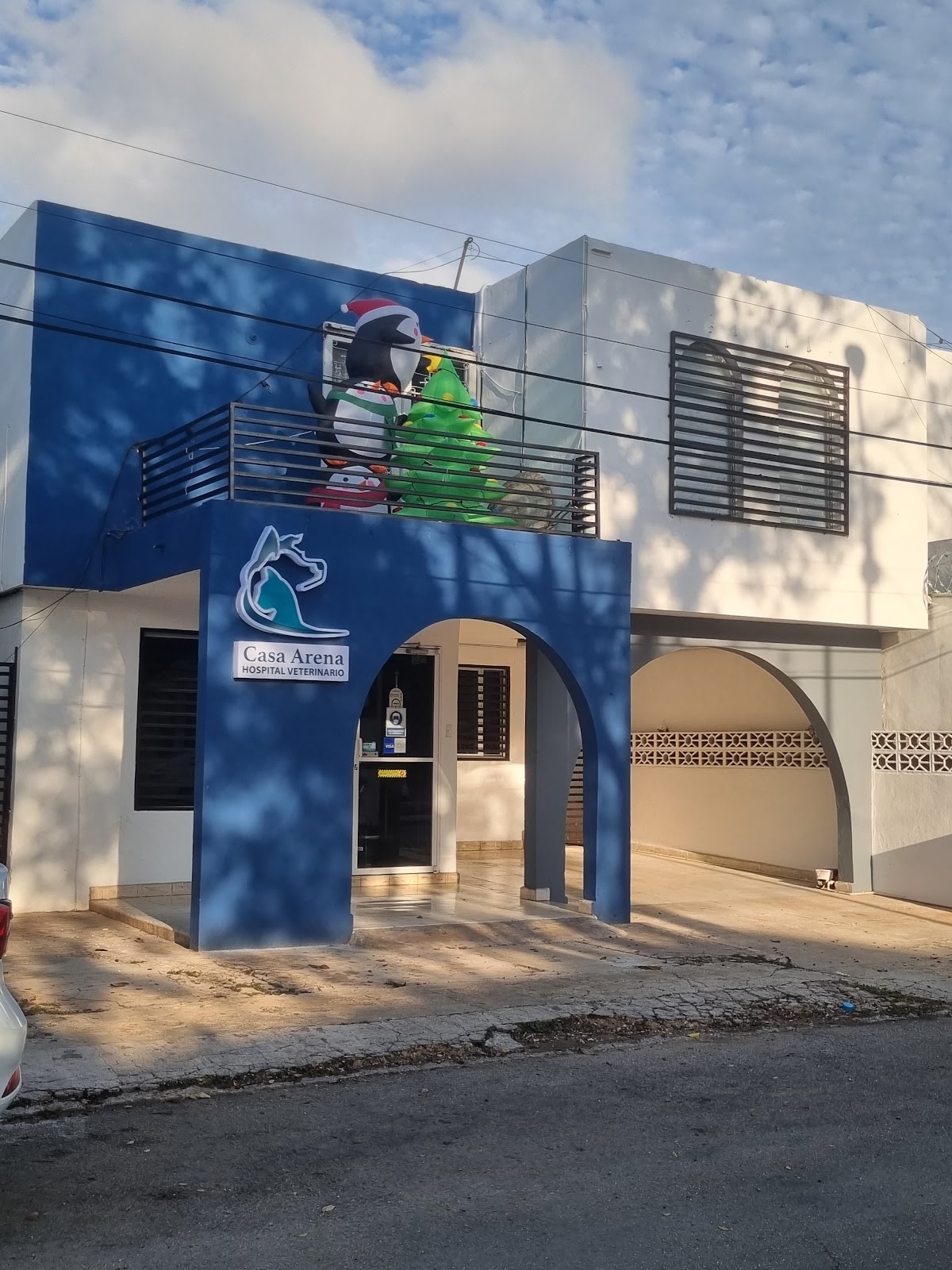 Casa Arena Hospital Veterinario, Otras zonas