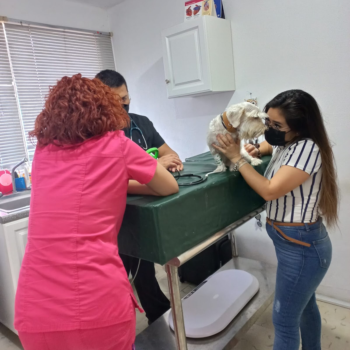 Casa Arena Hospital Veterinario — foto 2