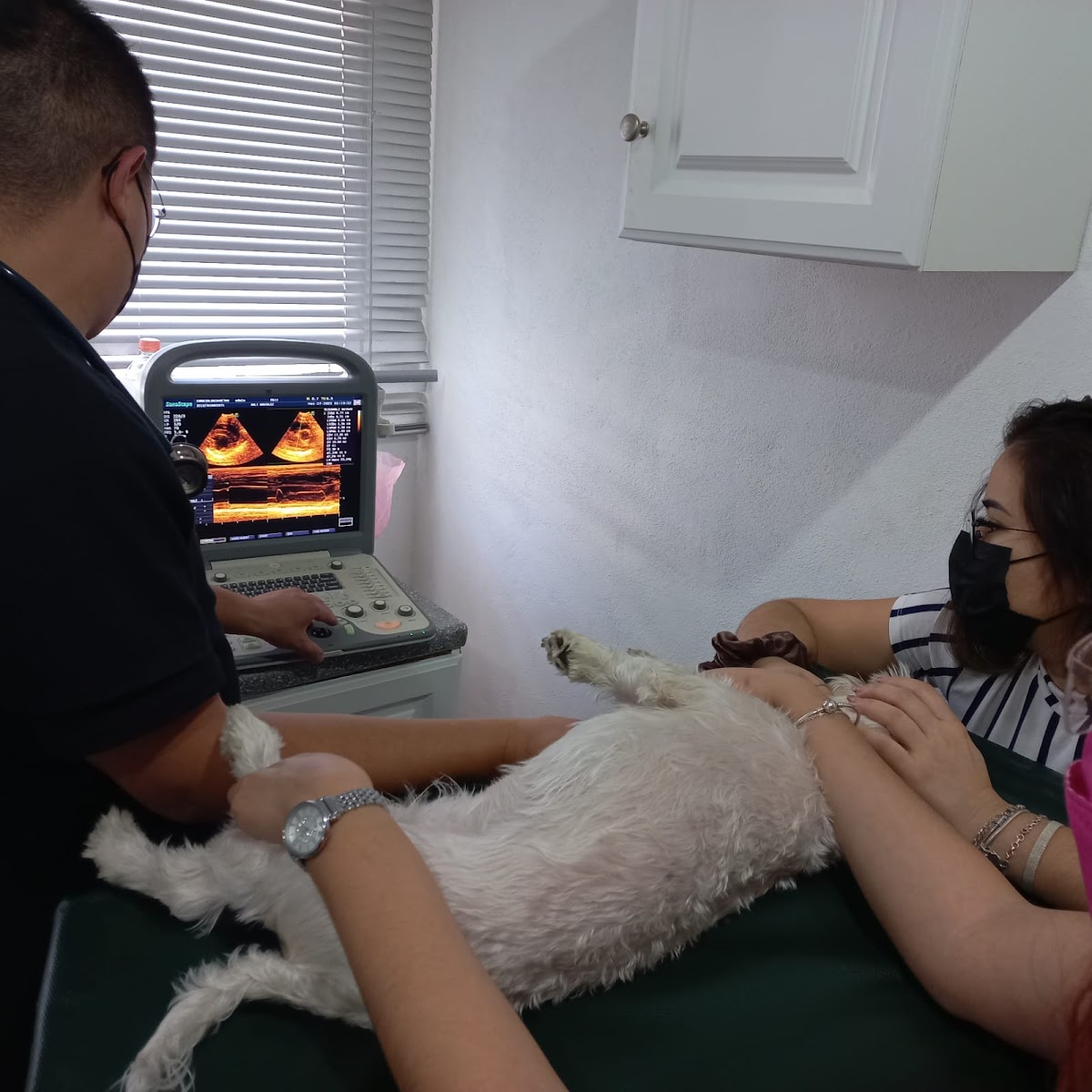 Casa Arena Hospital Veterinario — foto 3