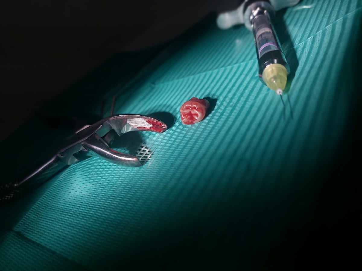 E Dental — foto 3