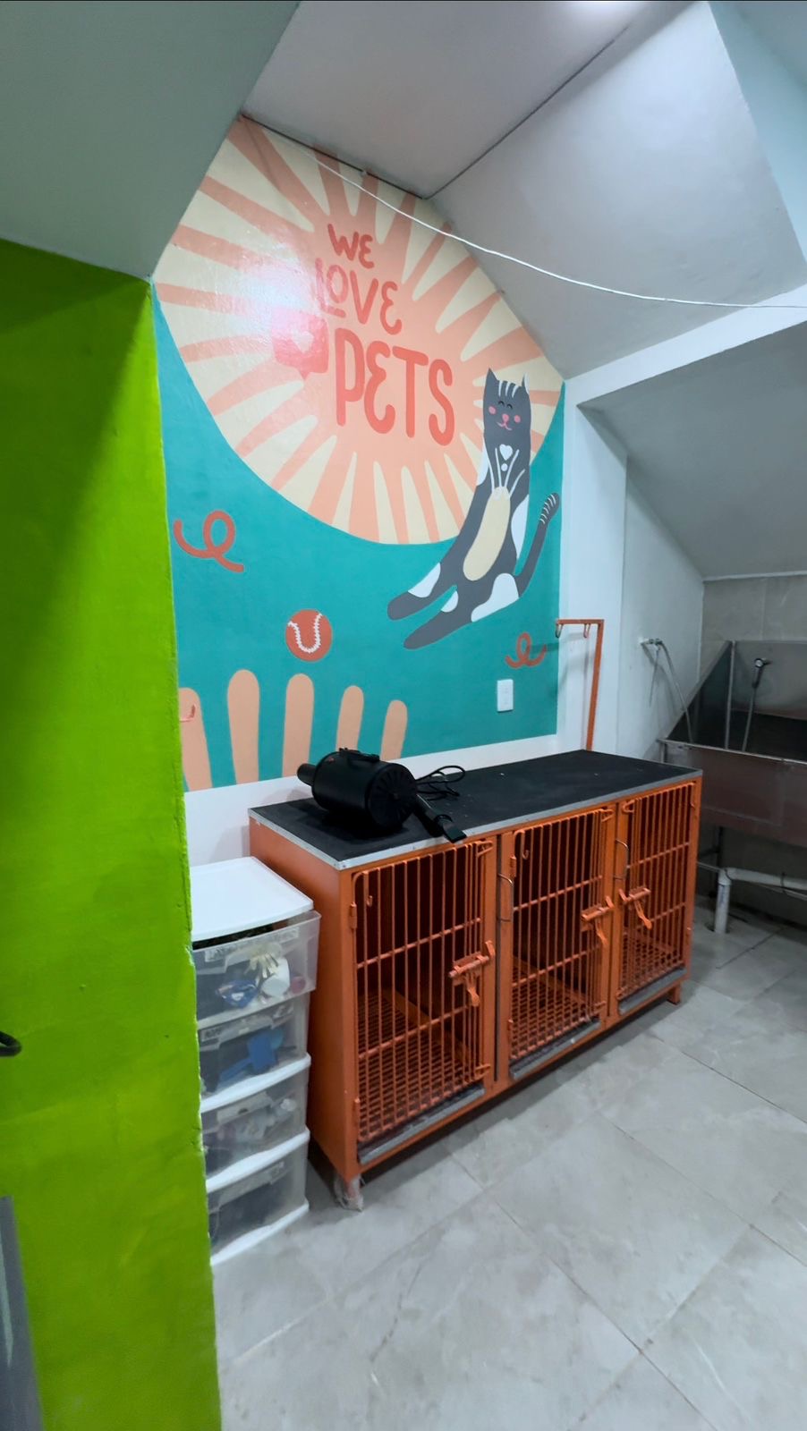 Veterinaria y Estética Canina Spa Canes — foto 4
