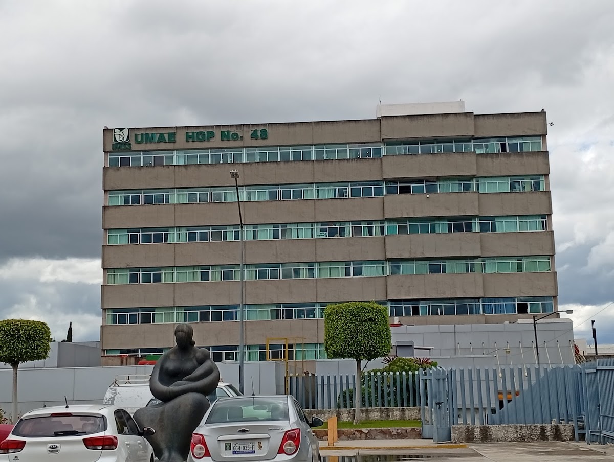 Hospital De Ginecología Y Pediatría No. 48 IMSS