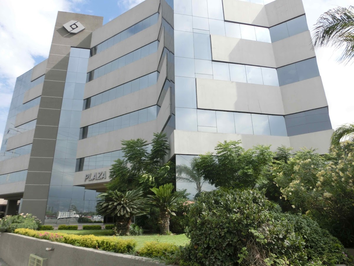 REYES GARCÍA ABOGADOS, S.C. — foto 2