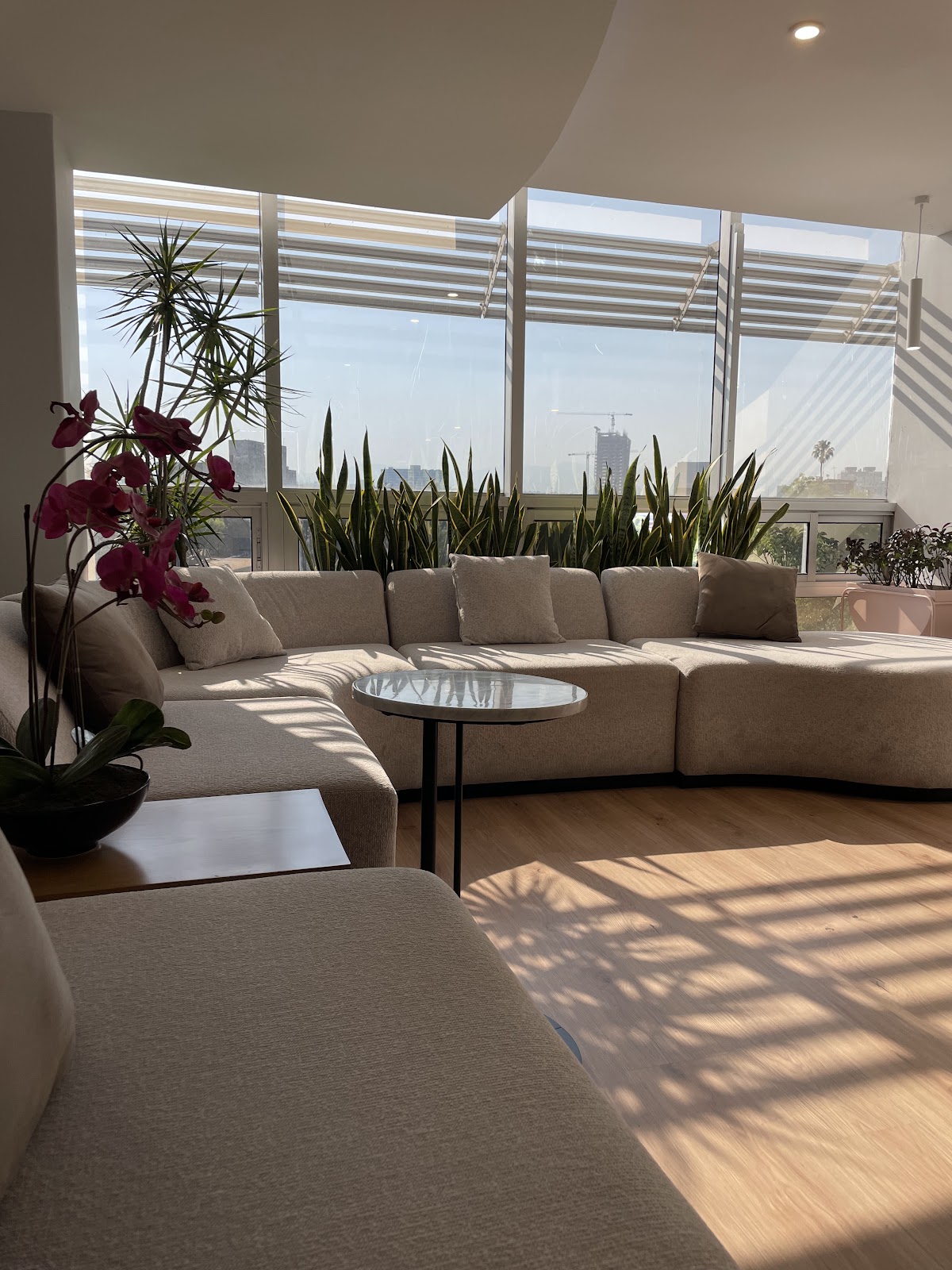 StudioDerma
