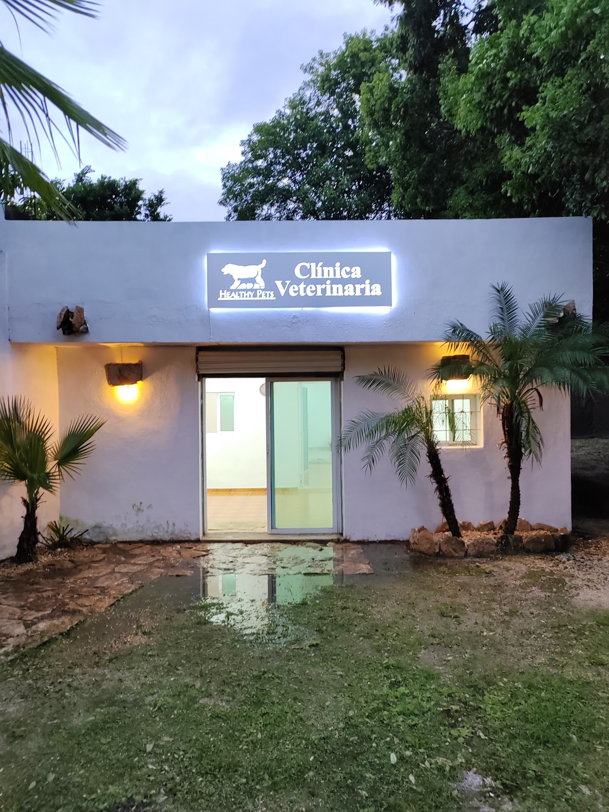 Healthy Pets Clínica Veterinaria