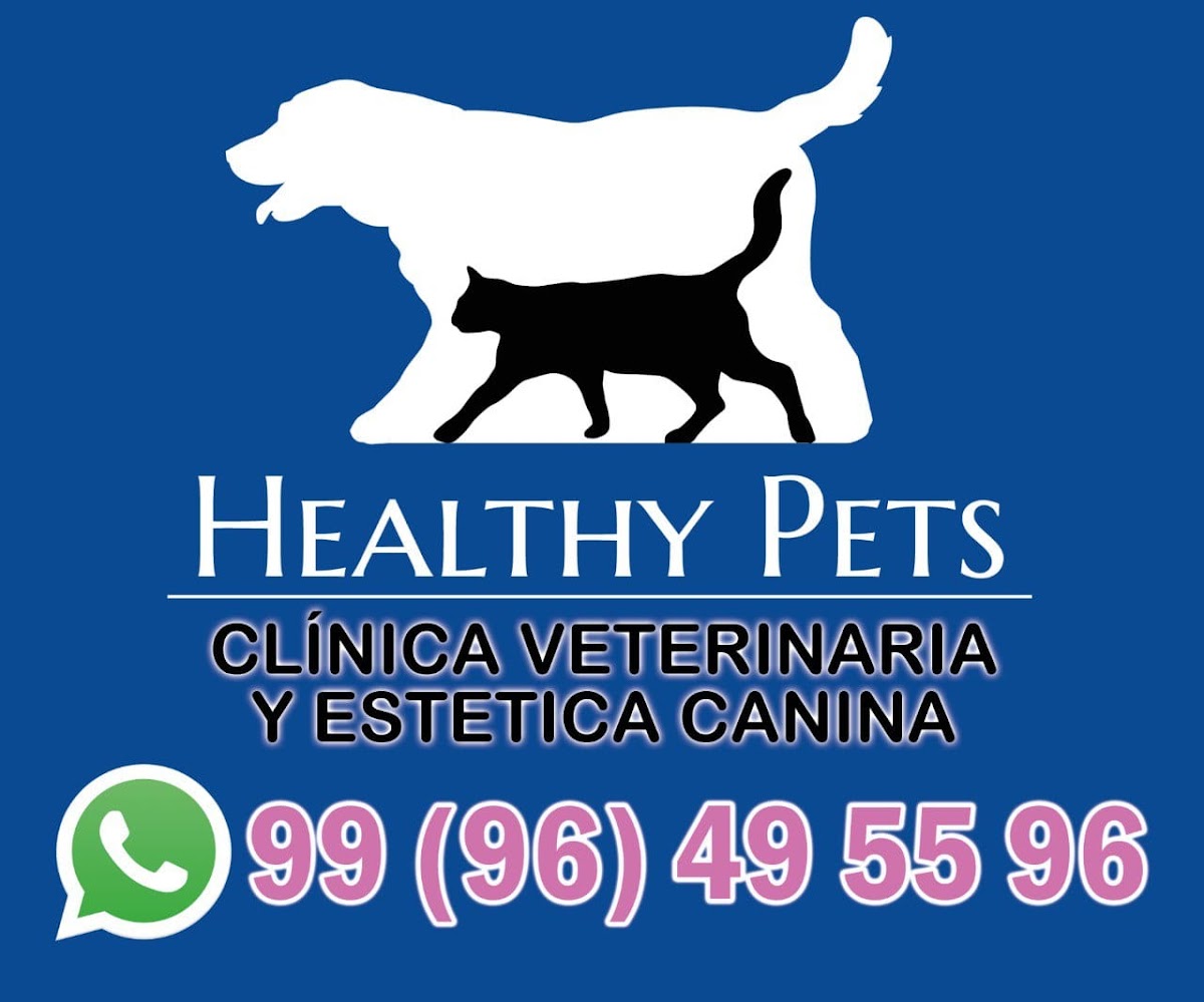 Healthy Pets Clínica Veterinaria — foto 2