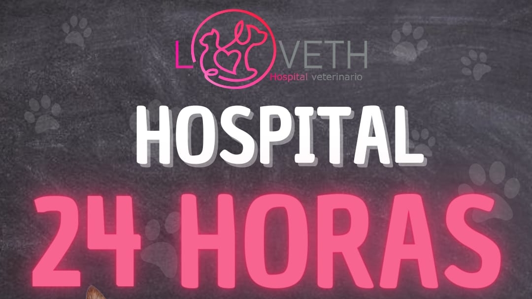 Loveth Hospital Veterinario, Otras zonas