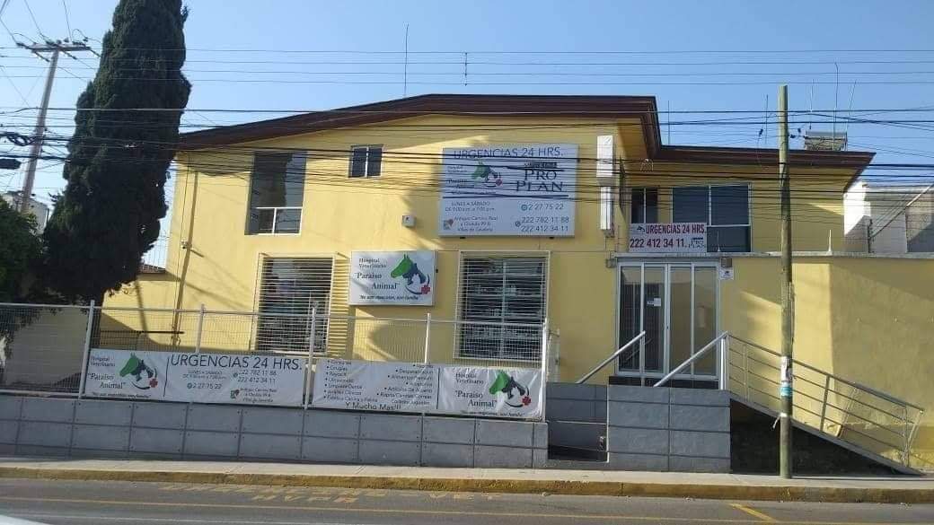 Hospital Veterinario "Paraíso Animal" — foto 3