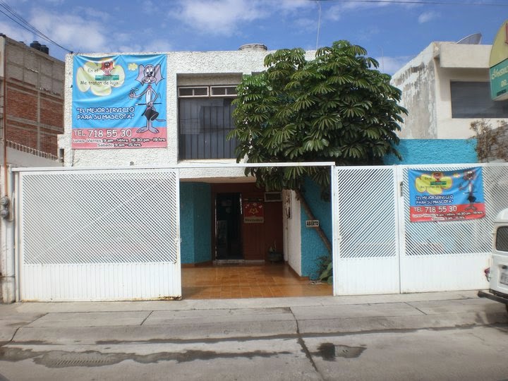 Consultorio Canino Doctor Cancino — foto 2
