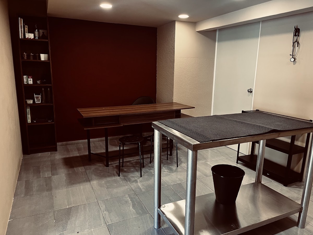 Minerva Hospital Veterinario | En Puebla | 24 Horas