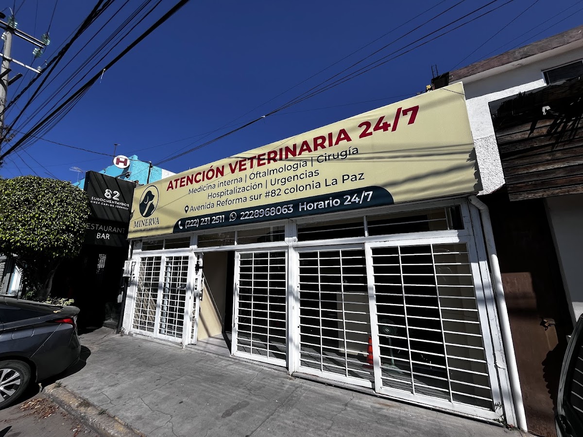 Minerva Hospital Veterinario | En Puebla | 24 Horas — foto 2