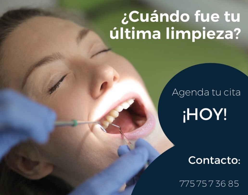 Dentista/Odontólogo/Especialista en Endodoncia/Consultorio Dental/Endodoncia