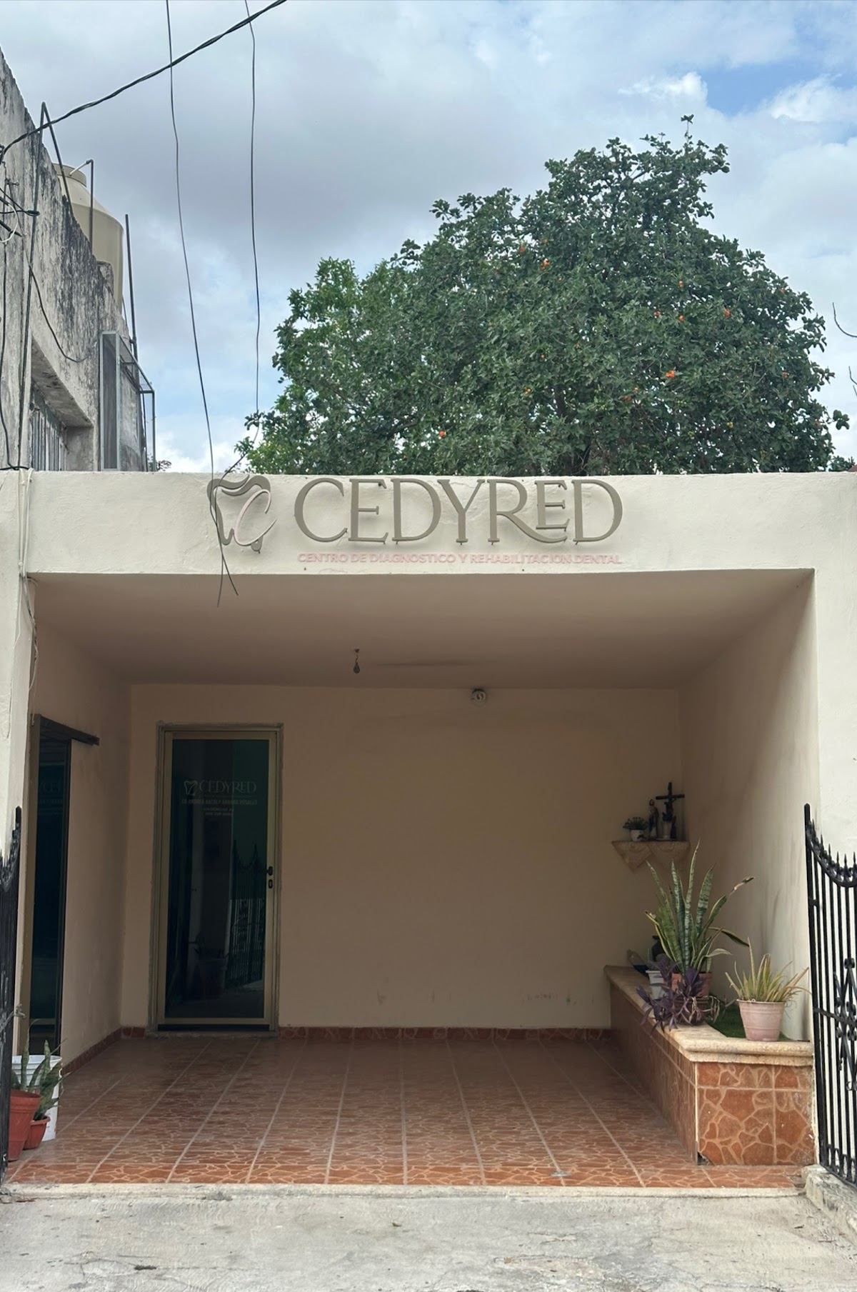 CONSULTORIO DENTAL CEDYRED