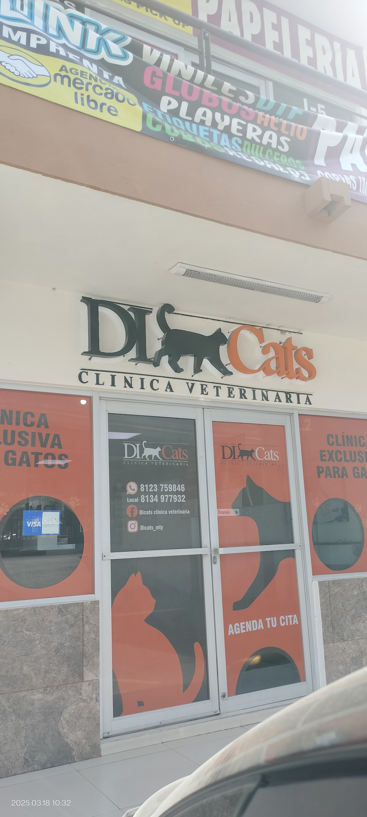 DICats clínica veterinaria — foto 2