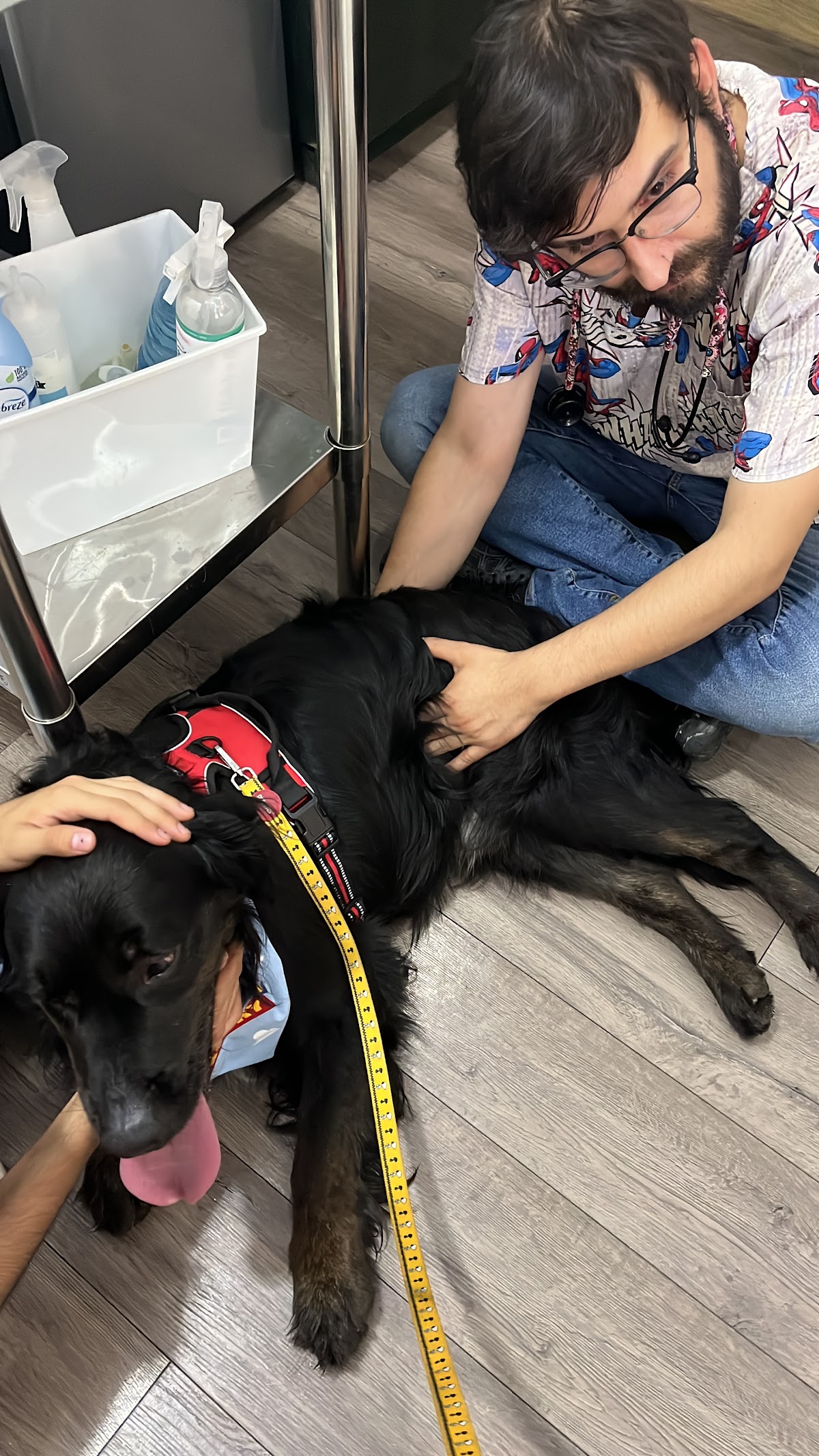 DOC PERRO Clínica Veterinaria ®️ — foto 2