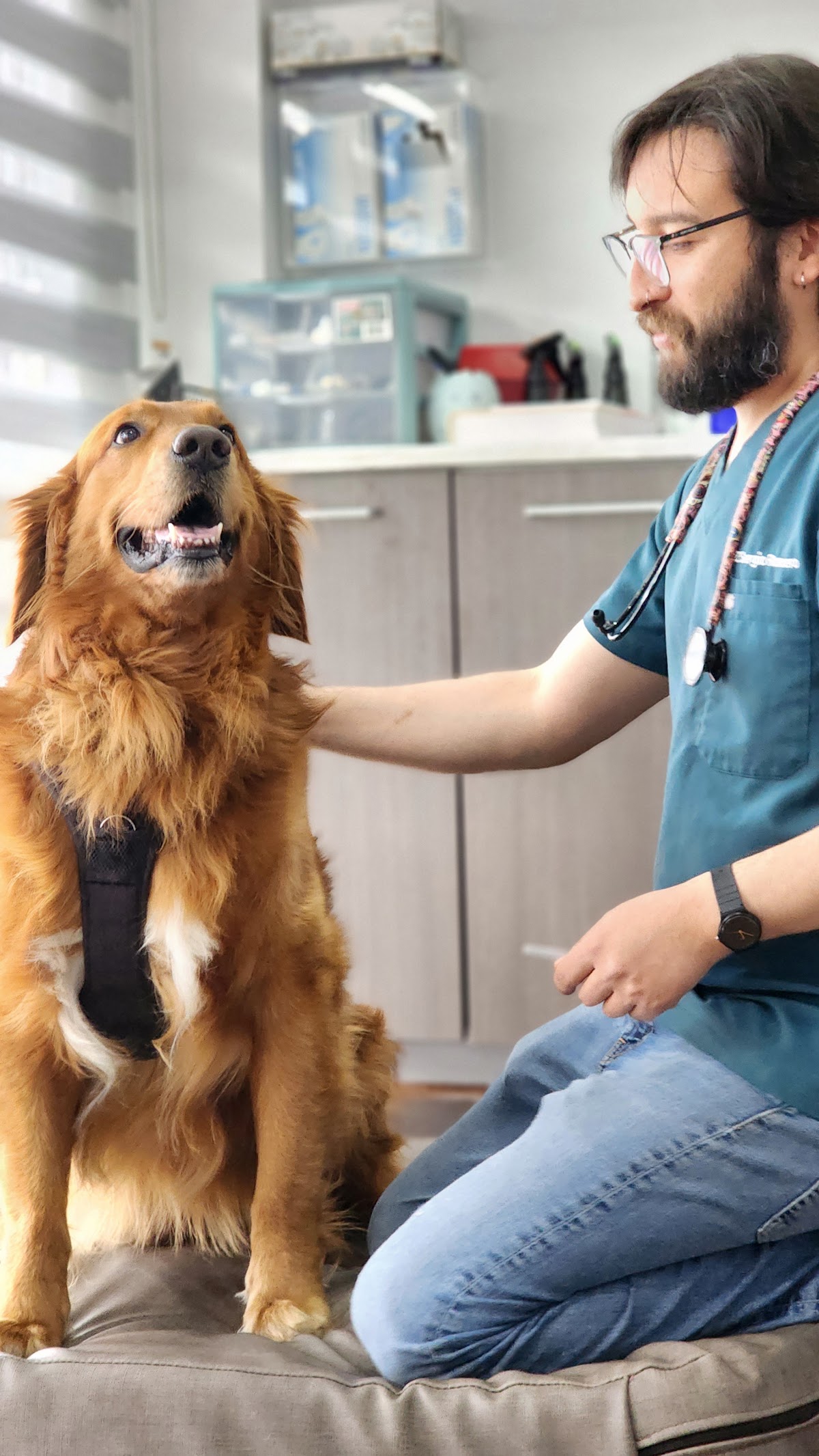 DOC PERRO Clínica Veterinaria ®️ — foto 3