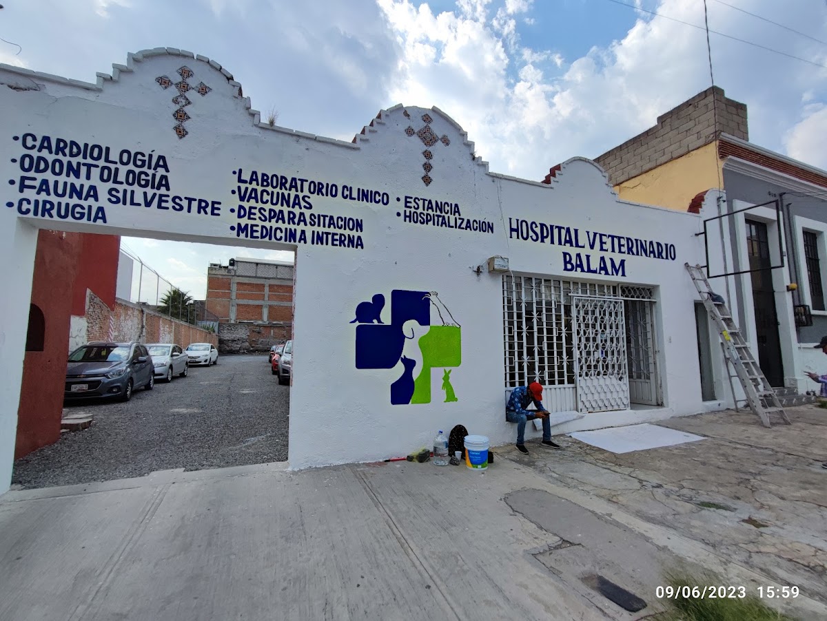 Hospital veterinario BALAM CENTRO — foto 3