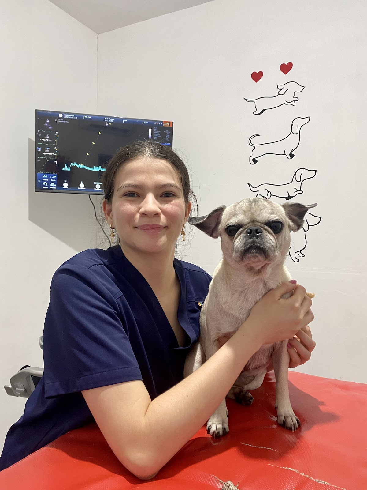 Meds for Pets — foto 2