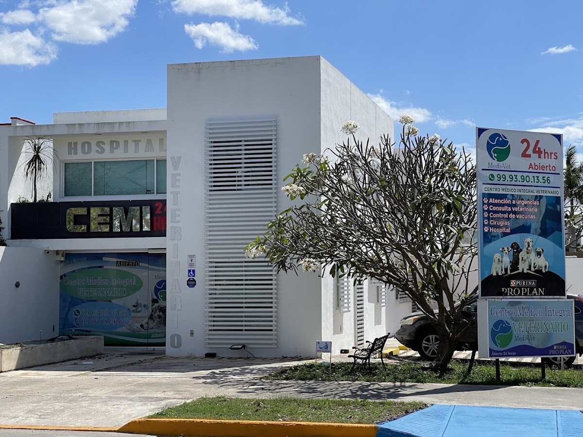 VETERINUM Hospital Veterinario 24 Horas — foto 2
