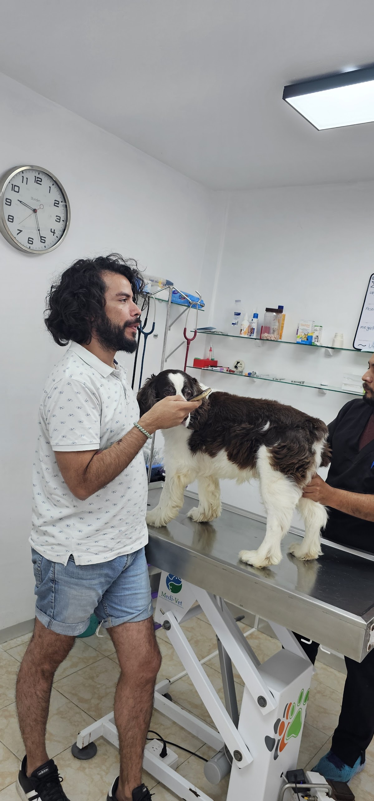VETERINUM Hospital Veterinario 24 Horas — foto 4