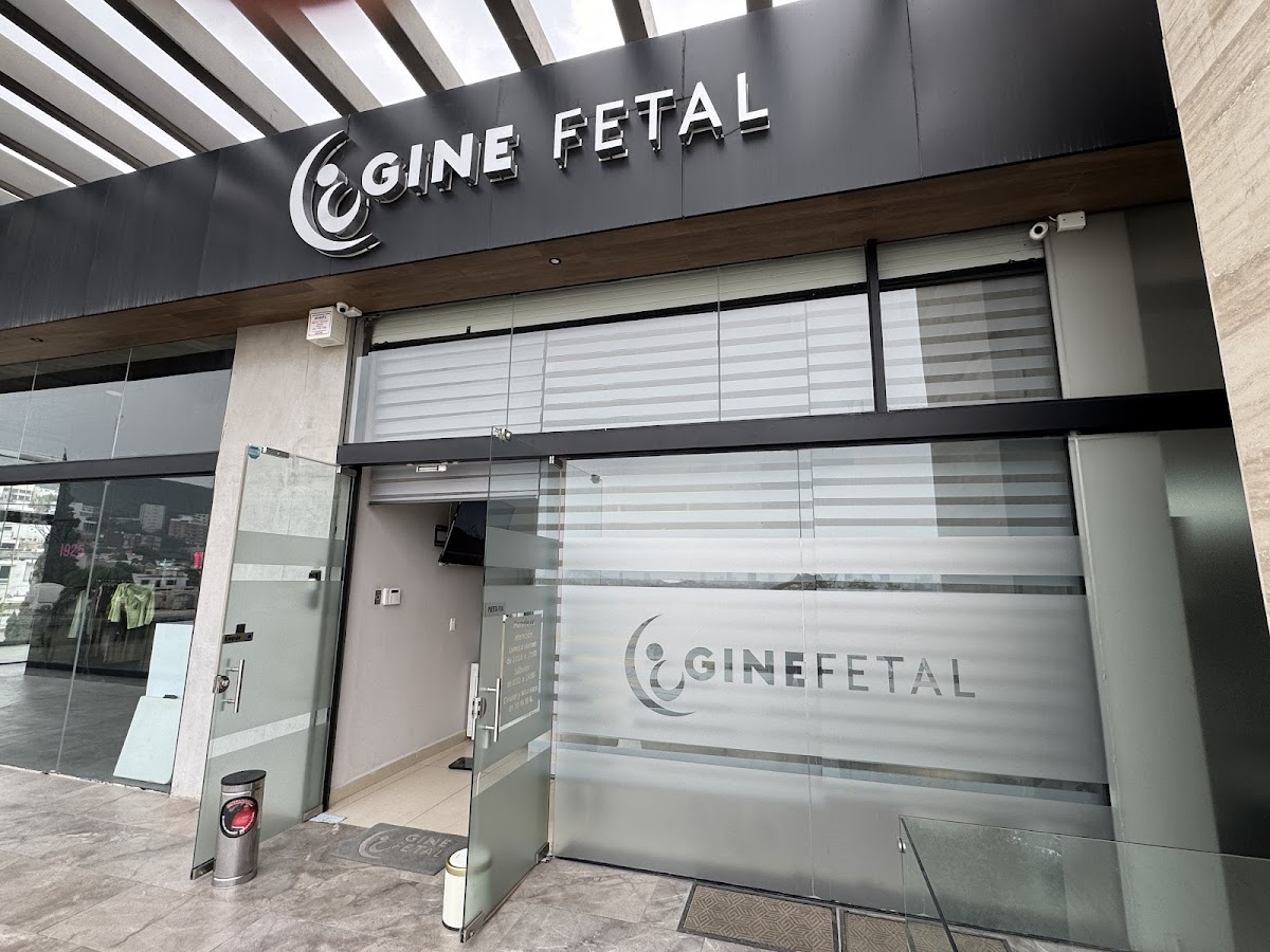 GINE FETAL