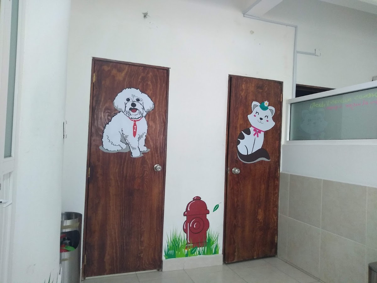 Cambia un destino Hospital de animales — foto 2