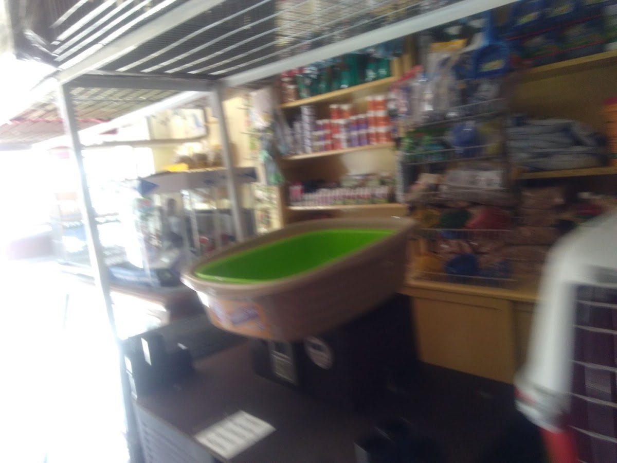 Veterinaria del centro — foto 3