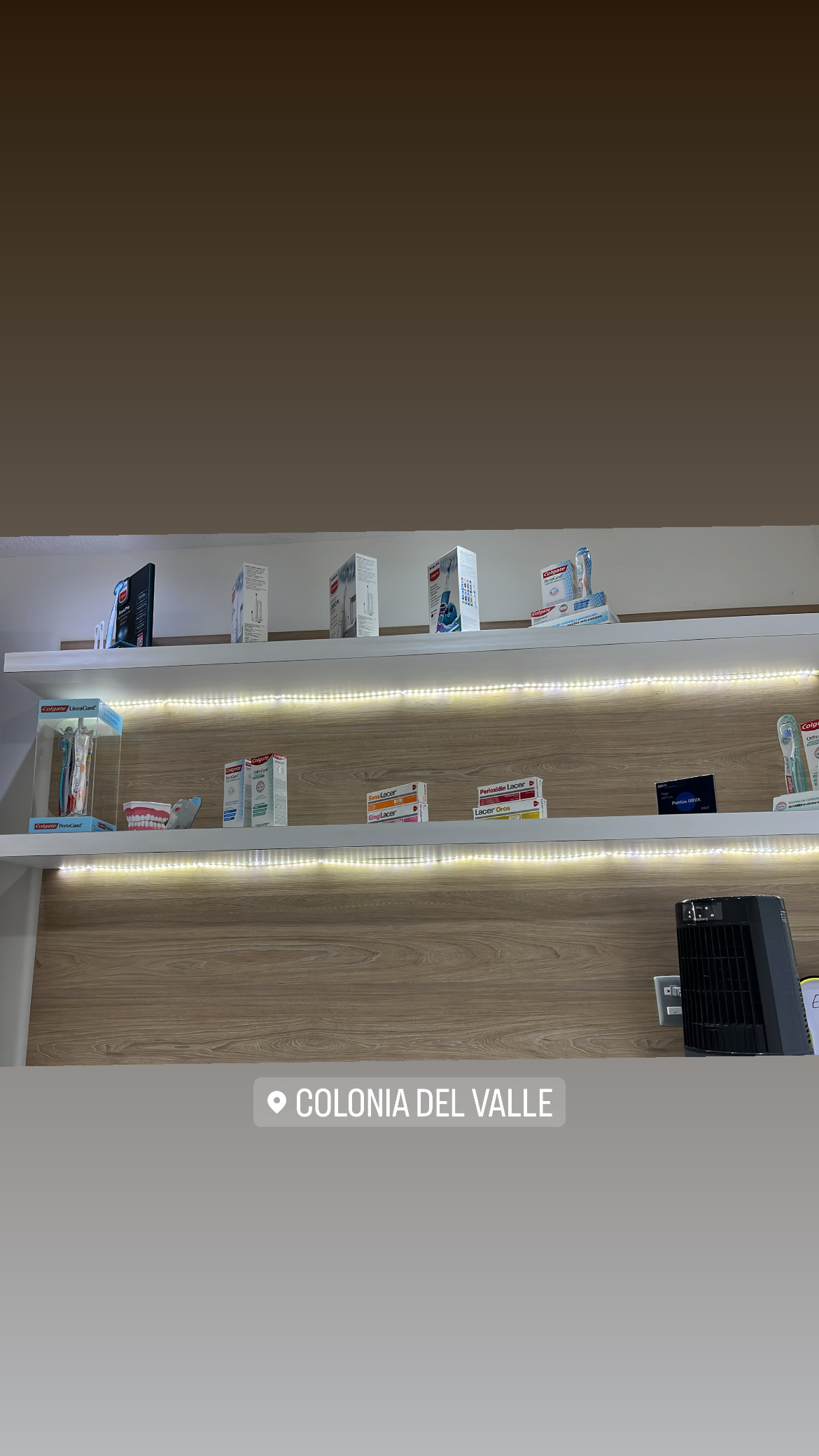 Odontólogo/ Dentista / Especialista en Endodoncia - Dra. Roxana Muñoz Torres
